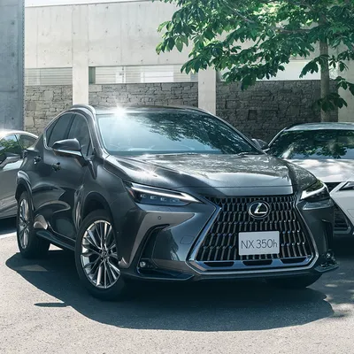 2024 Lexus NX 350 for Sale near Deerfield, IL - Lexus of Highland Park