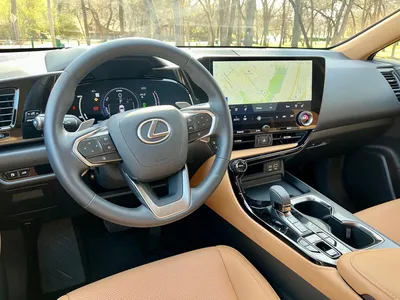 2020 Lexus NX Interior Features | Lexus of Tampa Bay