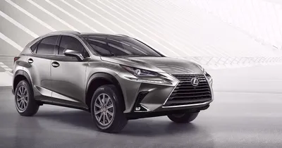 2024 Lexus NX 250 review | CarExpert