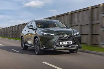 Lexus NX Updated for 2024 Model Year | Lexus Enthusiast