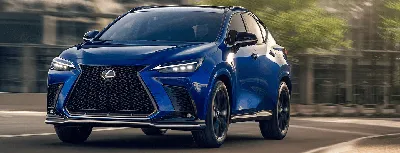 2024 Lexus NX: Choosing the Right Trim - Autotrader