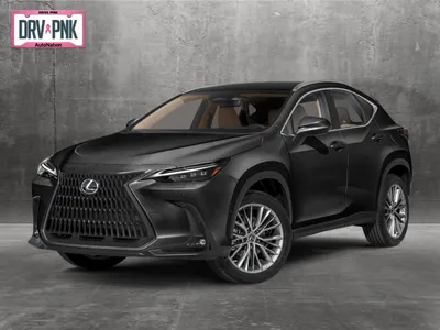 Driven: Elevate Your Adventures With the 2023 Lexus NX 350