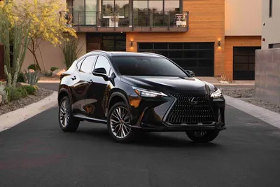 Lexus NX Hybrid Model Review | Berlin City Lexus of Portland