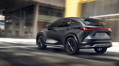 2022 Lexus NX: 70 Interior Photos | U.S. News