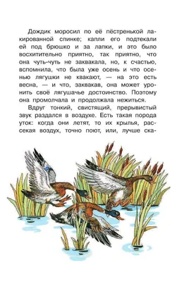 Рисунок Лягушка-путешественница №326353 - «В мире литературных героев»  (03.06.2022 - 13:31)