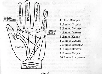 Линия брака на руке: где находится и какое значение имеет