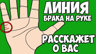 Как гадать по руке: что линии на ладони могут рассказать о вашей судьбе