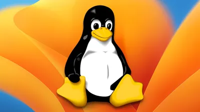 The 40 Most-Used Linux Commands You Should Know