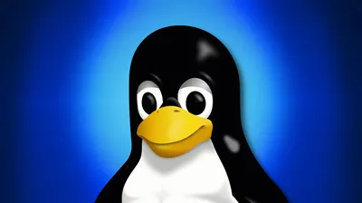 12 Best Linux Distros For Programming In 2023