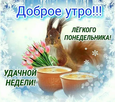 ЛЁГКОГО ВАМ ПОНЕДЕЛЬНИКА ! | От души, для друзей! | ВКонтакте