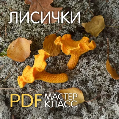 Гриб Грибыч on Instagram: “🍄 September'2019 🎉 The biggest chanterelle I  have ever found 🎉 Самая большая лисичка, которую я когда-либо находил #гр…  | Грибы, Глина