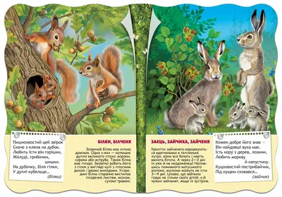 Книга Лісові звірі. Forest animals . Автор Олена Забара. Издательство  Видавництво Старого Лева 9786176793175