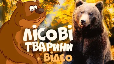 Набір тварин \"Лісові звірі\" (ID#562973540), цена: 976.50 ₴, купити на  Prom.ua