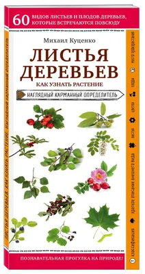 Детский мастер-класс по рисованию оттиском листка «Деревья осенью» (13  фото). Воспитателям детских садов, школьным учителям и педагогам - Маам.ру