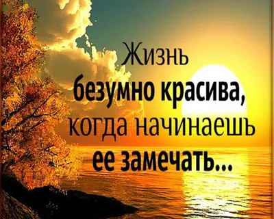 Пин от пользователя 色葉 山田 на доске Ислам | Цитаты, Милые цитаты, Душевные  цитаты