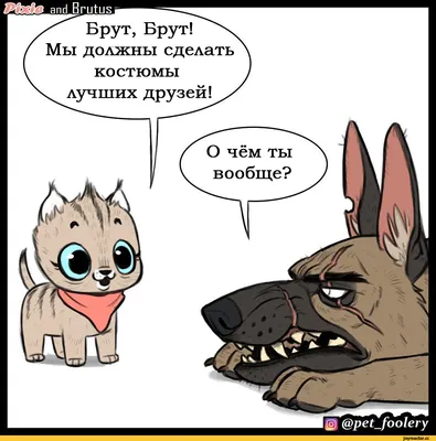 Помогите понять мем. Что такое \"лютые сечи\"? : r/russian