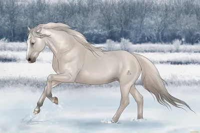 Horse Mare Drawing Art Модель листа, аниме мальчик, млекопитающее, животные  png | PNGEgg