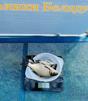 Кружка CoolPodarok Ловись рыбка большая и маленькая | AliExpress
