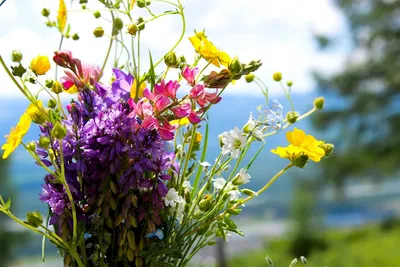 Луговые цветы в прозрачной вазе …» — создано в Шедевруме