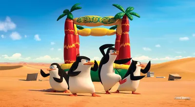Обои на рабочий стол Пингвины в пустыне, мультсериал Пингвины Мадагаскара /  Penguins Madagaskar: Рико / Rico, Шкипер / Skipper, Рядовой / Private и  Ковальски / Kowalski, обои для рабочего стола, скачать обои, обои бесплатно