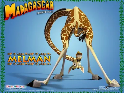 Жираф Melman из мультика Мадагаскар, картинки и обои на рабочий стол  компьютера скачать.