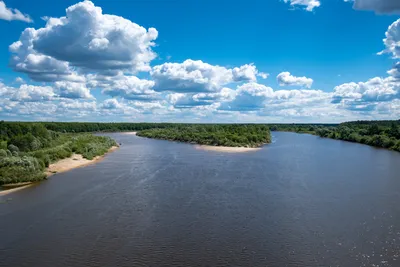 Руководство - Прокуратура Республики Марий Эл