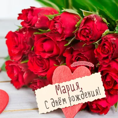 красные розы Мария с днем рождения | Праздничные открытки, Юбилейные  открытки, Открытки