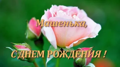 Машуля! С днем рождения! Желаю тебе большого счастья