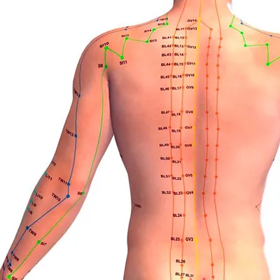 Точечный массаж спины: схемы и техники выполнения