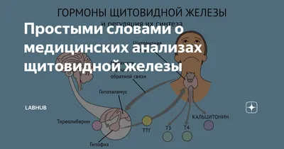 О здоровье и науке простыми словами - «Искусство медицины состоит в том,  чтобы развлекать пациента, пока природа лечит болезнь». – Вольтер #цитаты  #здоровье #медицина #болезнь | Facebook