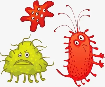 Микробы картинки для детей - 47 фото