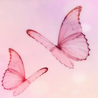 Красивые изящные розовые духи, …» — создано в Шедевруме