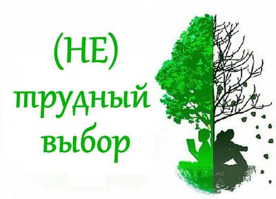 Аудиотрансляция «Наш выбор – мир без наркотиков!» – Воронежская областная  библиотека для слепых им. В.Г. Короленко