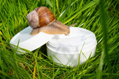 ᐅ Увлажняющий гель для кожи вокруг глаз Snail Care с муцином улитки 30 г —  купить по цене 326 грн. • Уход за кожей вокруг глаз — Увлажняющий гель для  кожи вокруг