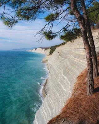 Пробы воды в Черном море в Геленджике соответствуют нормам -  Роспотребнадзор - Юг и Северный Кавказ || Интерфакс Россия