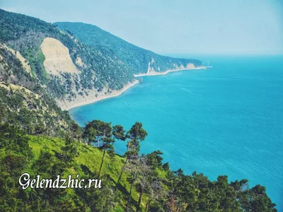 ГЕЛЕНДЖИК ❤ МОРЕ🌊 ГОРЫ⛰ ОТДЫХ🏖 (@gelendzhik.top) posted on Instagram: “A  Вы видели когда-нибудь фонтан в море??? А он есть! В Геленджик… | Геленджик,  Фонтан, Мир