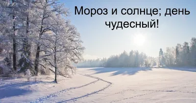 Мороз и солнце, день чудесный!!! - Всем учителям