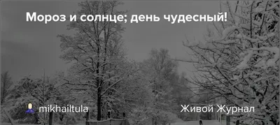 Зимняя дорога. Александр Сергеевич Пушкин - «Зимний Пушкин, Мороз и солнце: день  чудесный!» | отзывы