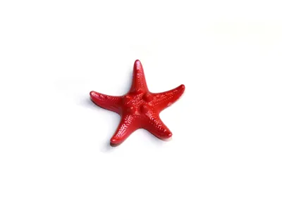 Морская звезда Красный Мех 3D Модель $19 - .max - Free3D