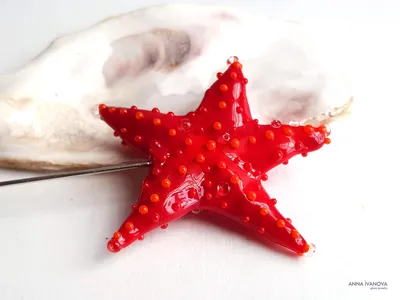 Навеска Морская звезда, 15×13мм (id 109390121), купить в Казахстане, цена  на Satu.kz