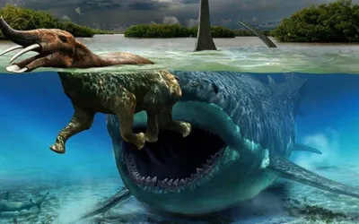 Большая игрушка-динозавр мосазавр, мосазавр с подвижными челюстями, крупные морские  монстры, динозавр, представляющий Доисторический океан, фигурка акулы |  AliExpress