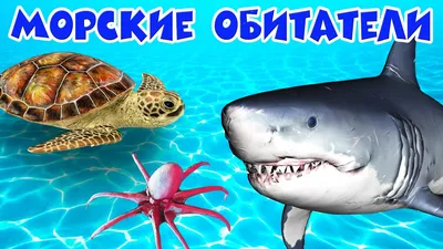 Растушка в воде большая Морские жители 6 шт (ID#1999520257), цена: 185 ₴,  купить на Prom.ua