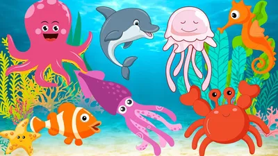 Морские животные картинки для детей обои