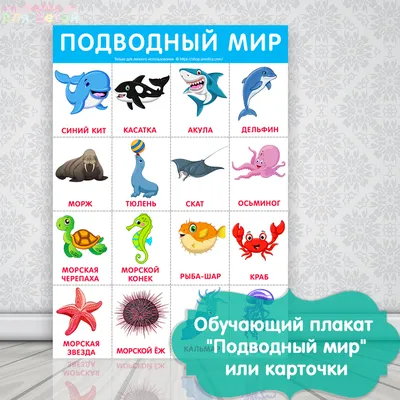 подводный мир, обучающий плакат для детского сада скачать
