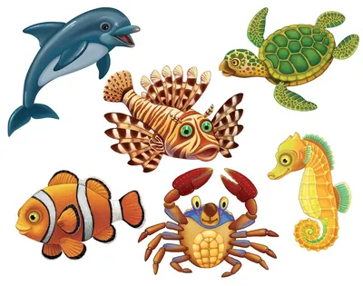 Морские животные рисунки для детей - 71 фото