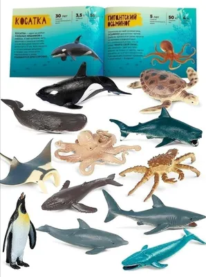 Booni Набор фигурок морские животные, развивающие игрушки 3+ детей -  «Интересные развивающие и занимающие фигурки. » | отзывы
