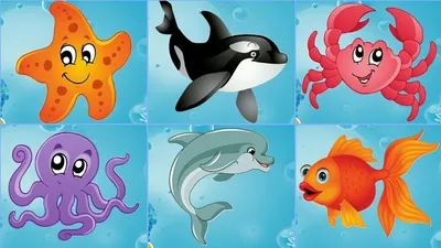 Морские животные для детей. Жители морей и океанов.Развивающее видео для  детей. - YouTube