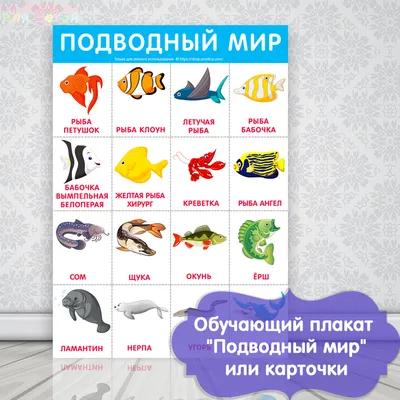 Дидактические карточки \"Морские животные\" МГП-9052 в Москве | CLEVER-TOY.RU