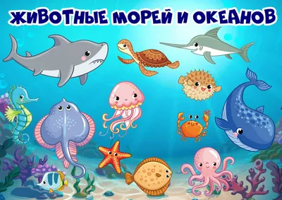 Морские животные картинки для детей | Животные, Морские котики, Дельфины