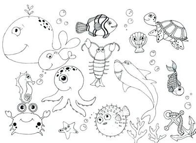 Английский язык для детей | Опыт репетитора: Задания для песни о морских  животных на английском языке